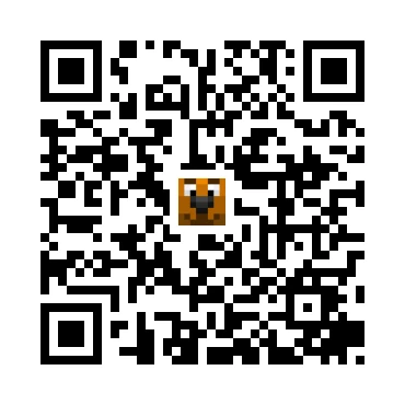 skins.qr_code_alt