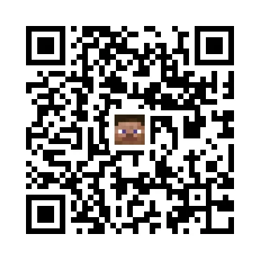 skins.qr_code_alt