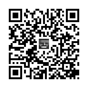 skins.qr_code_alt