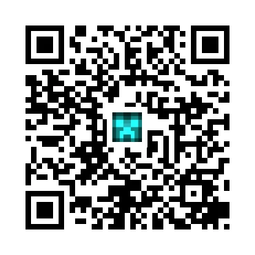 skins.qr_code_alt