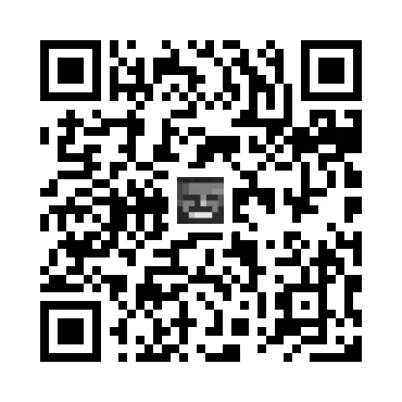 skins.qr_code_alt