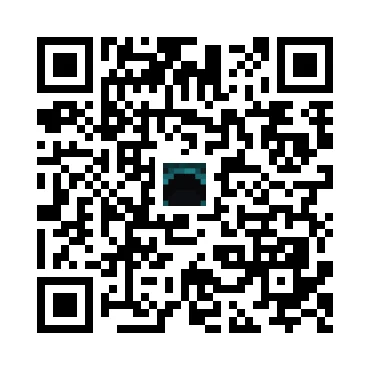skins.qr_code_alt
