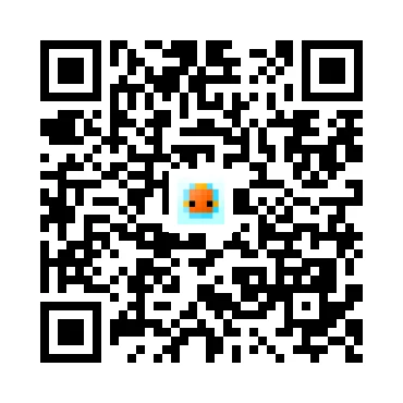 skins.qr_code_alt