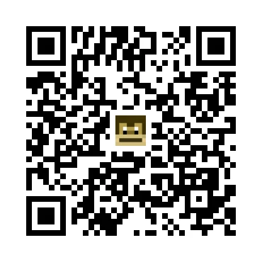 skins.qr_code_alt