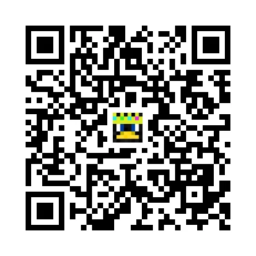 skins.qr_code_alt