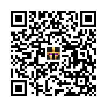 skins.qr_code_alt