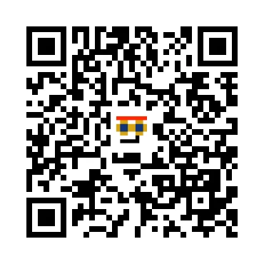 skins.qr_code_alt