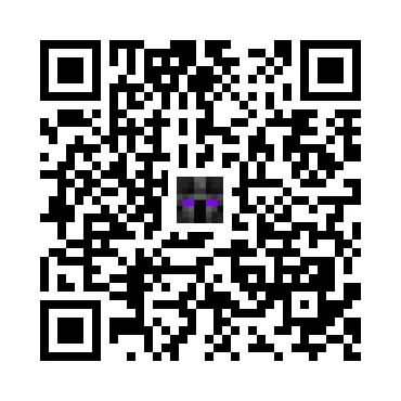skins.qr_code_alt