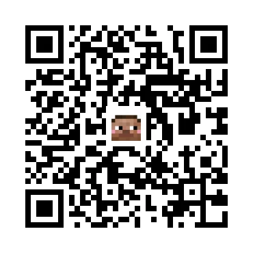 skins.qr_code_alt