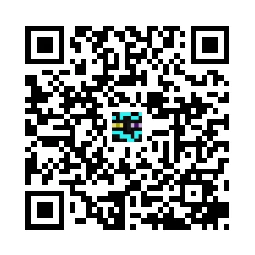 skins.qr_code_alt