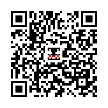 skins.qr_code_alt