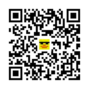 skins.qr_code_alt