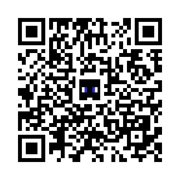 skins.qr_code_alt