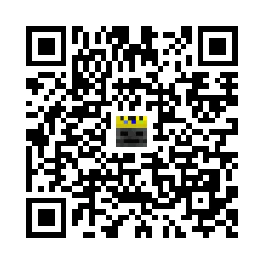 skins.qr_code_alt