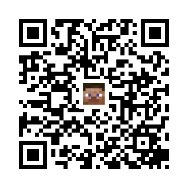 skins.qr_code_alt