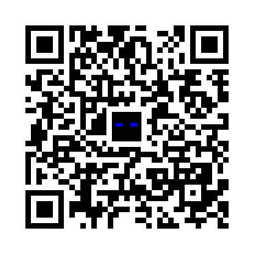 skins.qr_code_alt