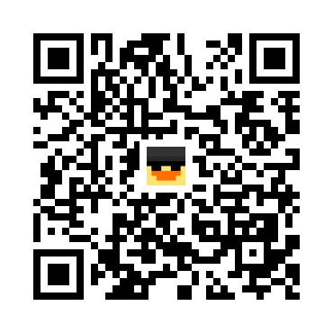 skins.qr_code_alt