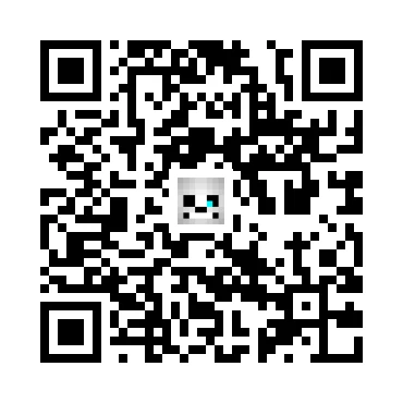 skins.qr_code_alt