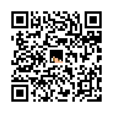 skins.qr_code_alt