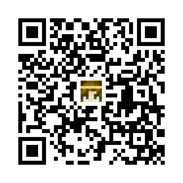 skins.qr_code_alt