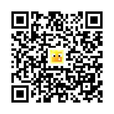 skins.qr_code_alt