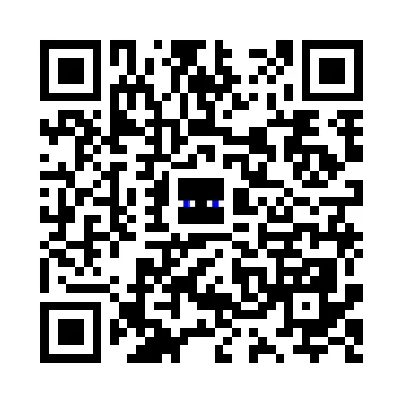 skins.qr_code_alt