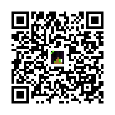 skins.qr_code_alt