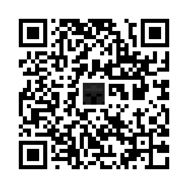 skins.qr_code_alt