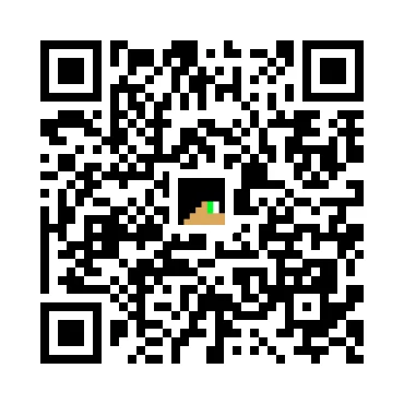 skins.qr_code_alt