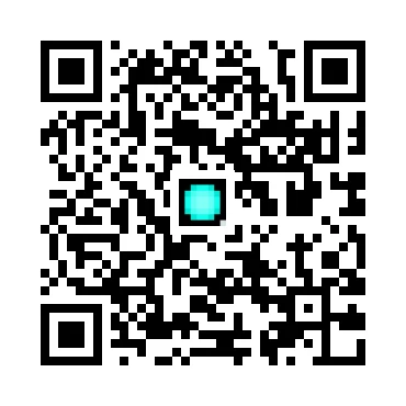 skins.qr_code_alt