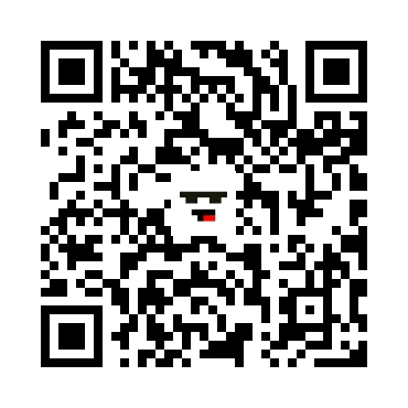 skins.qr_code_alt
