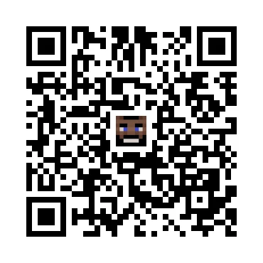 skins.qr_code_alt