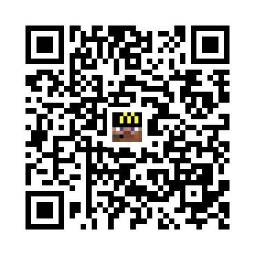 skins.qr_code_alt