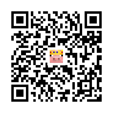 skins.qr_code_alt