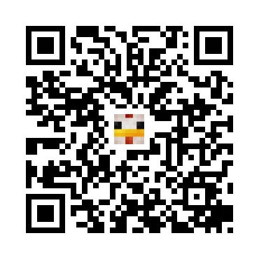 skins.qr_code_alt