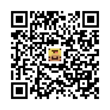 skins.qr_code_alt