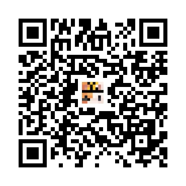 skins.qr_code_alt
