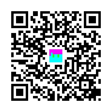 skins.qr_code_alt