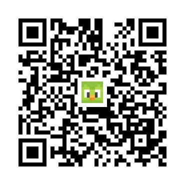 skins.qr_code_alt