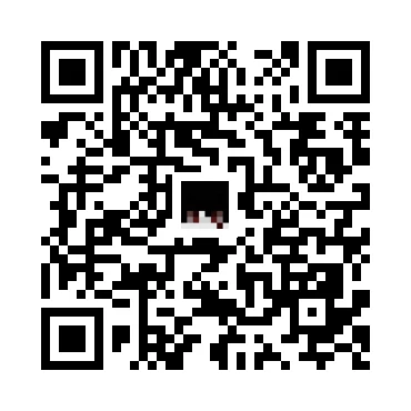 skins.qr_code_alt