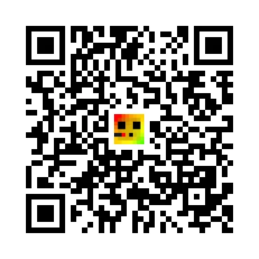 skins.qr_code_alt