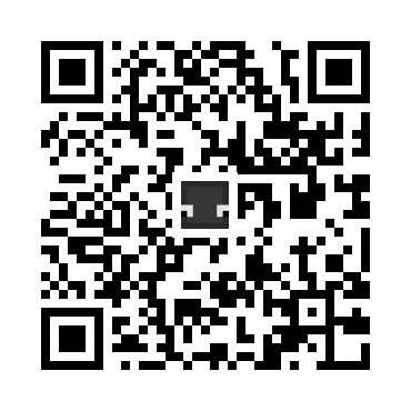 skins.qr_code_alt