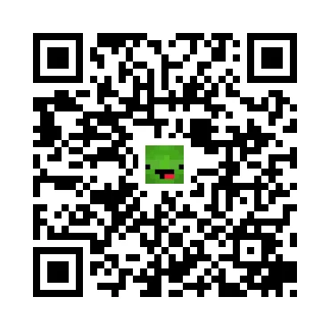skins.qr_code_alt