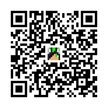 skins.qr_code_alt