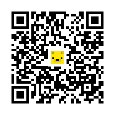 skins.qr_code_alt