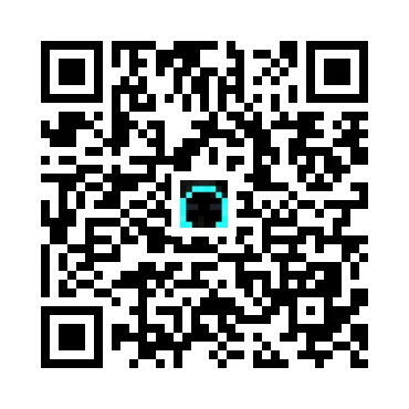 skins.qr_code_alt