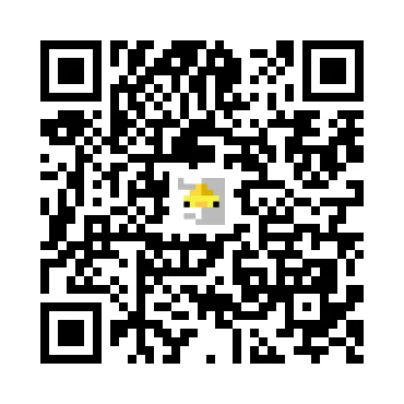 skins.qr_code_alt