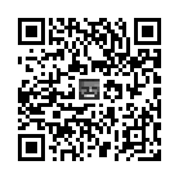 skins.qr_code_alt