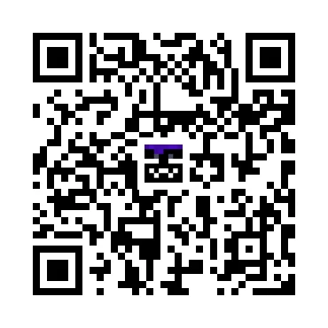 skins.qr_code_alt