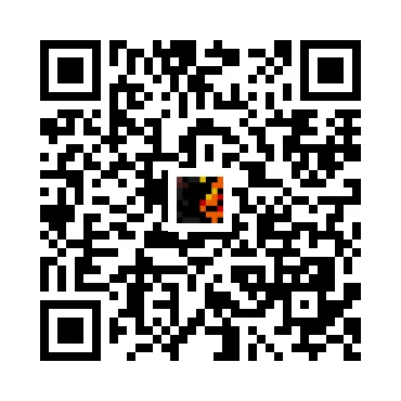 skins.qr_code_alt
